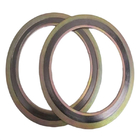 8-15% Compressible Spiral Wound Gasket for High-Performance Needs