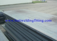 Stainless Steel Plate Duplex ASTM A240 317L Cold Rolled Sheet