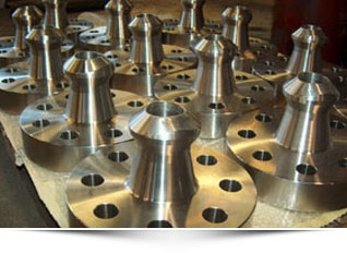 المعدن عالية الجودة النبوفلانج المقوى الصيد ASME B16.5 الفئة 150 300 RF NORSOK EDS NOL1 SCH160 F44 1