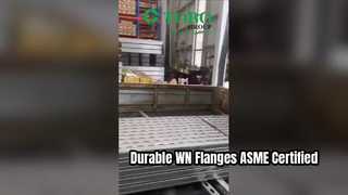 فلنجات WN المتينة وتركيبات الأنابيب عالية الجودة القياسية ASME