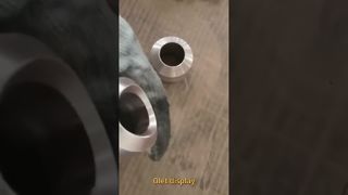 ويلدوليت