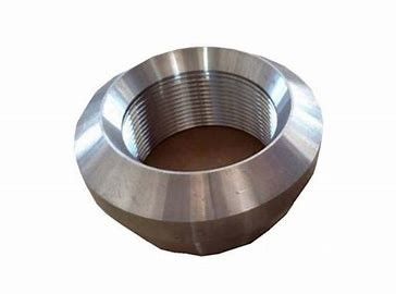 F316L Stainless Forged Pipe Fittings 6000LB Socket Weld Weldolet Threadolet MSS SP-97