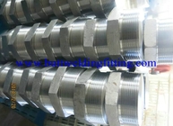 Forged Steel Pipe Fittings Hex Head Plug ANSI B16.11 ASTM B564 UNS N10665