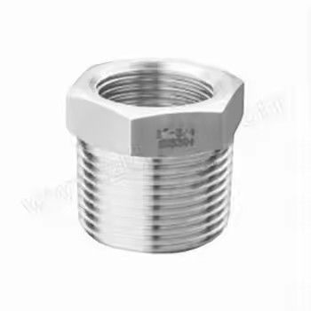 Customized Stainless Steel Socket Weld Forged Pipe Fittings and Bushings for Industrial Use